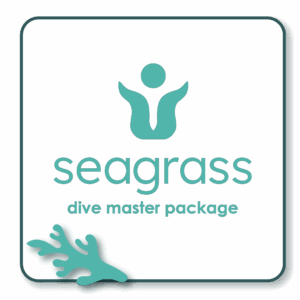 Dive Master REALM Package